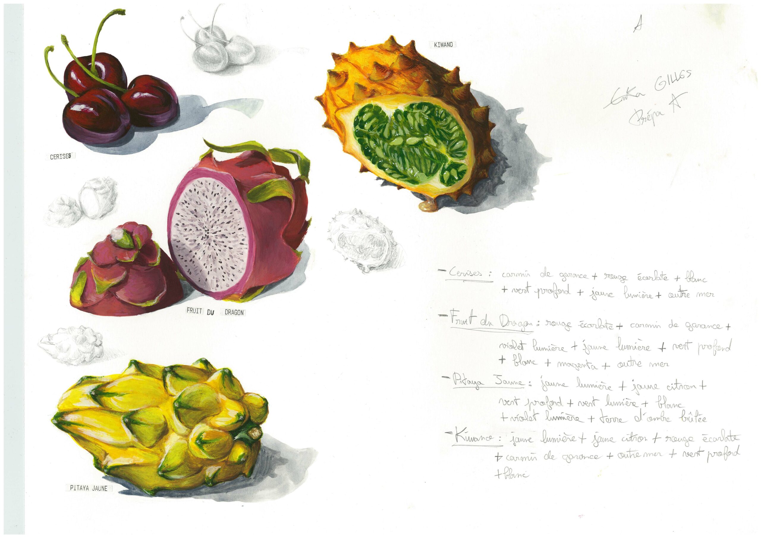 Étude couleur de fruits — Enka Gilles