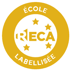 RECA Animation